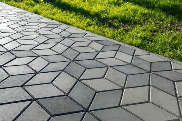 Best Affordable Driveway Paving  in Cologne, MN