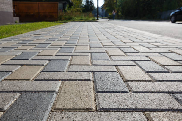 Best Driveway Pavers Near Me  in Cologne, MN