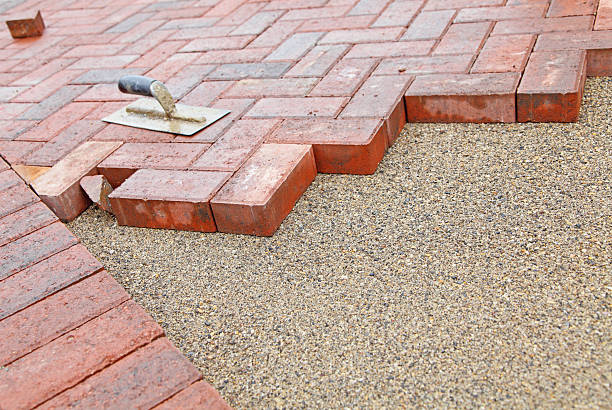 Best Professional Driveway Pavers  in Cologne, MN