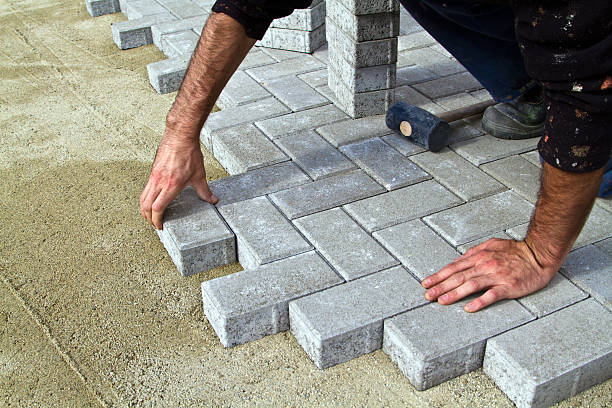 Best Driveway Paving Contractor  in Cologne, MN